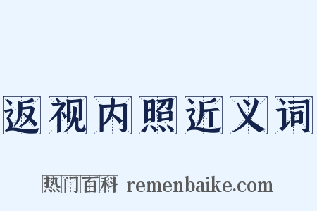 返视内照近义词是什么意思的图片